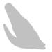 brush-tool-75